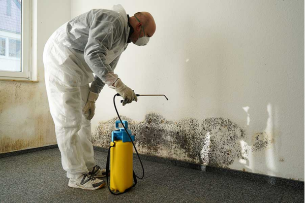 Mold Testing